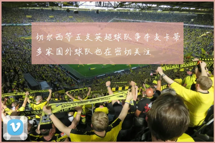 切尔西等五支英超球队争夺麦卡蒂多家国外球队也在密切关注