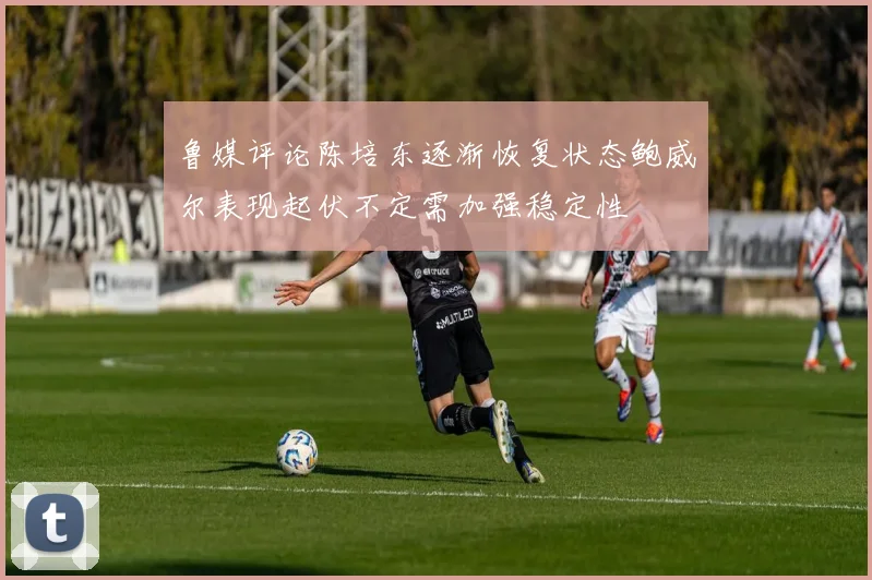 鲁媒评论陈培东逐渐恢复状态鲍威尔表现起伏不定需加强稳定性