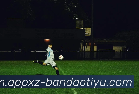 App Interface Preview