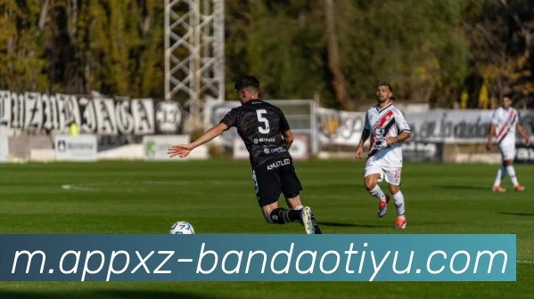 半岛体育APP 封面图